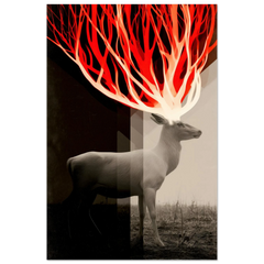 White Fire - Premium Wooden Framed Poster With Premium Matte Paper