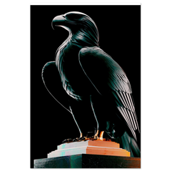 Aquila Noir - Premium Wooden Framed Poster With Premium Matte Paper