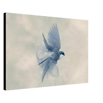 c36c09c7-6ab2-4f79-ac3d-1a1b1d1bff92