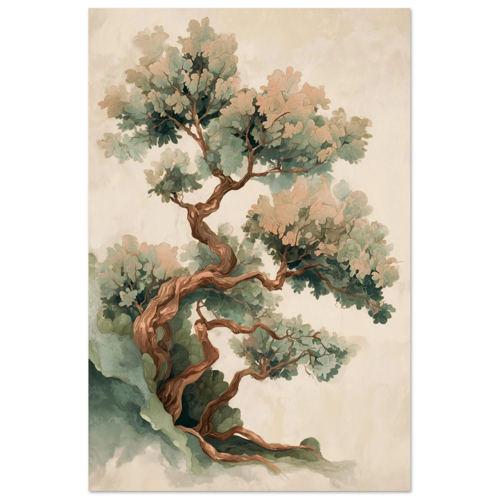 Elder Bonsai